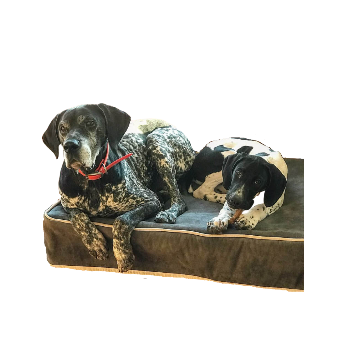 Ultra Plush Microsuede Slipcover