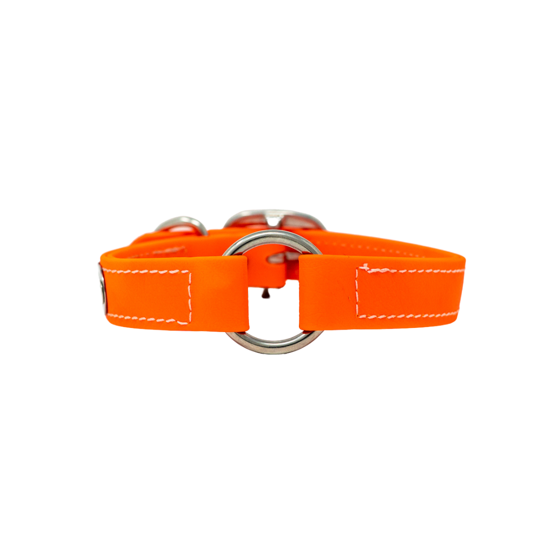 Adult Flat Collar - Biothane