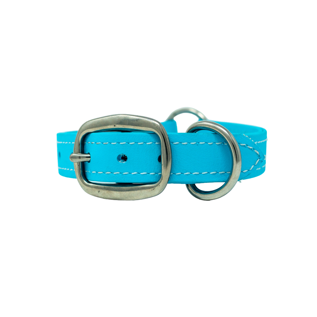 Adult Flat Collar - Biothane