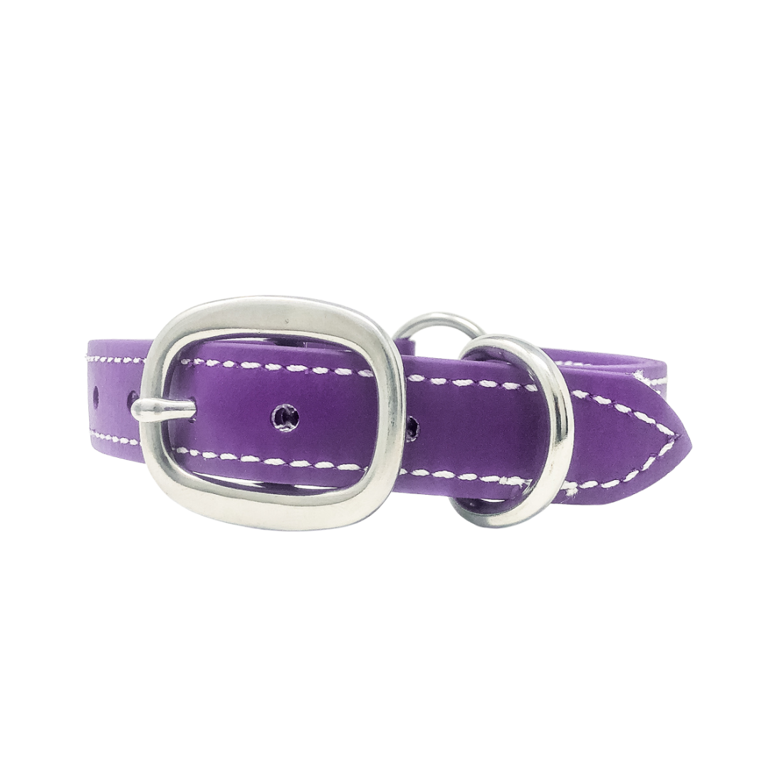Adult Flat Collar - Biothane