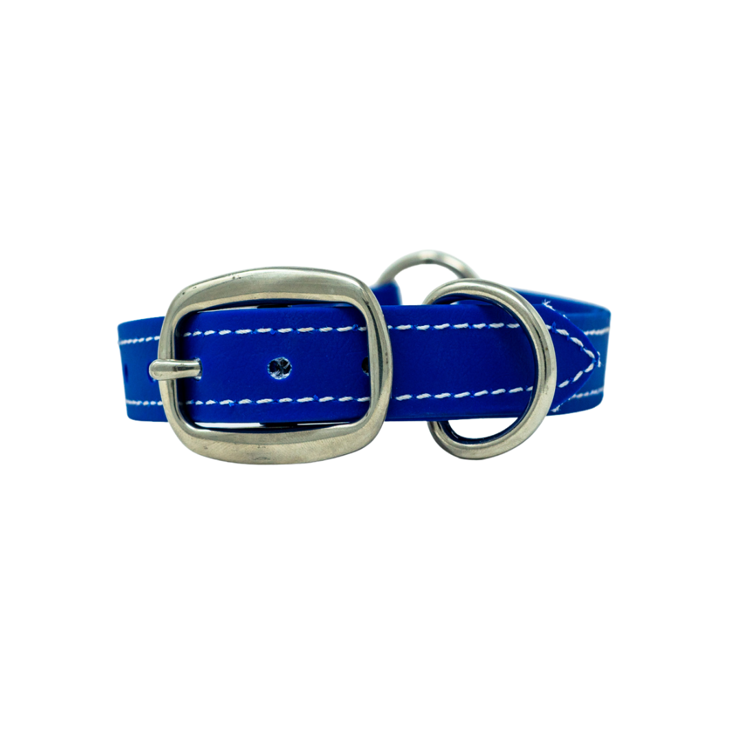 Adult Flat Collar - Biothane