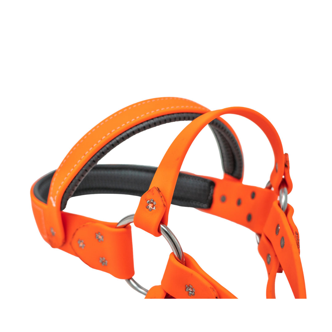 Roading Harness