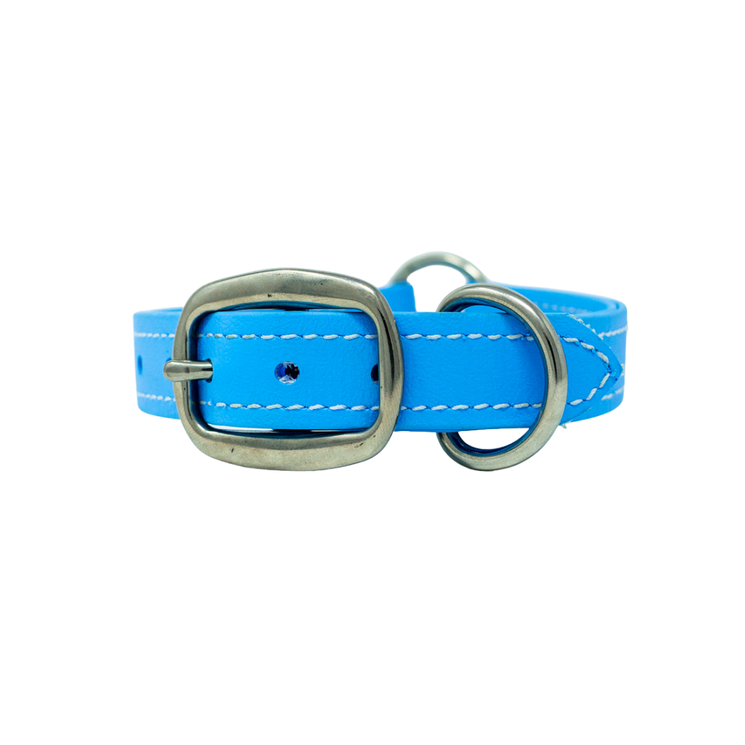Adult Flat Collar - Biothane