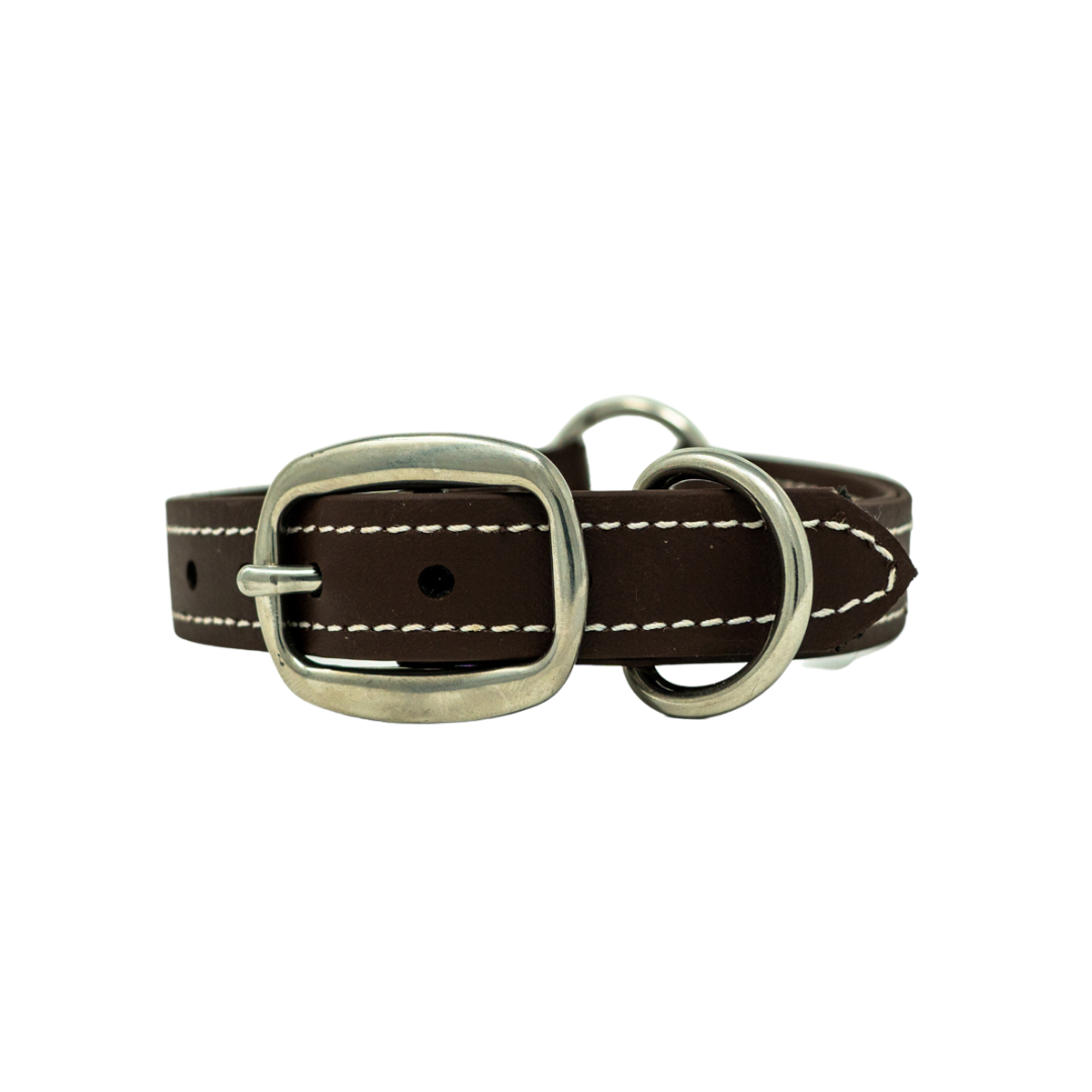 Adult Flat Collar - Biothane