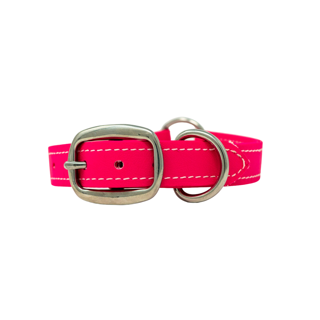 Adult Flat Collar - Biothane