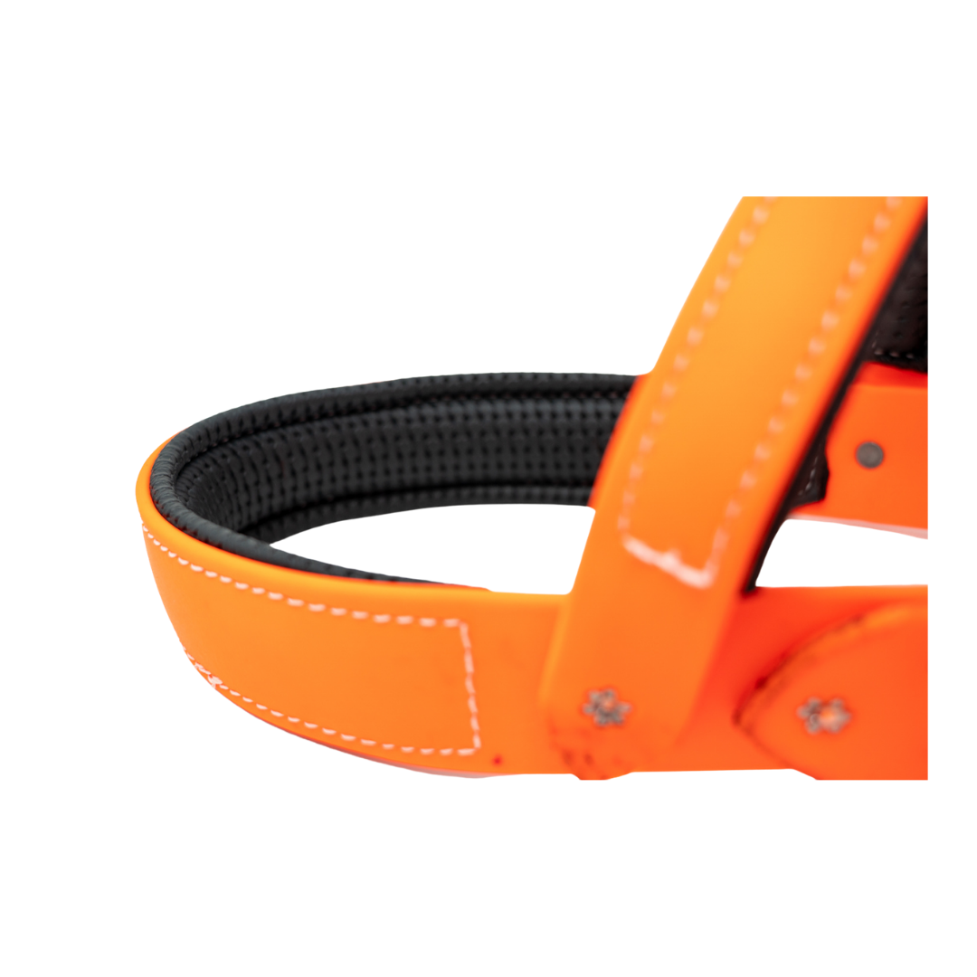 Roading Harness