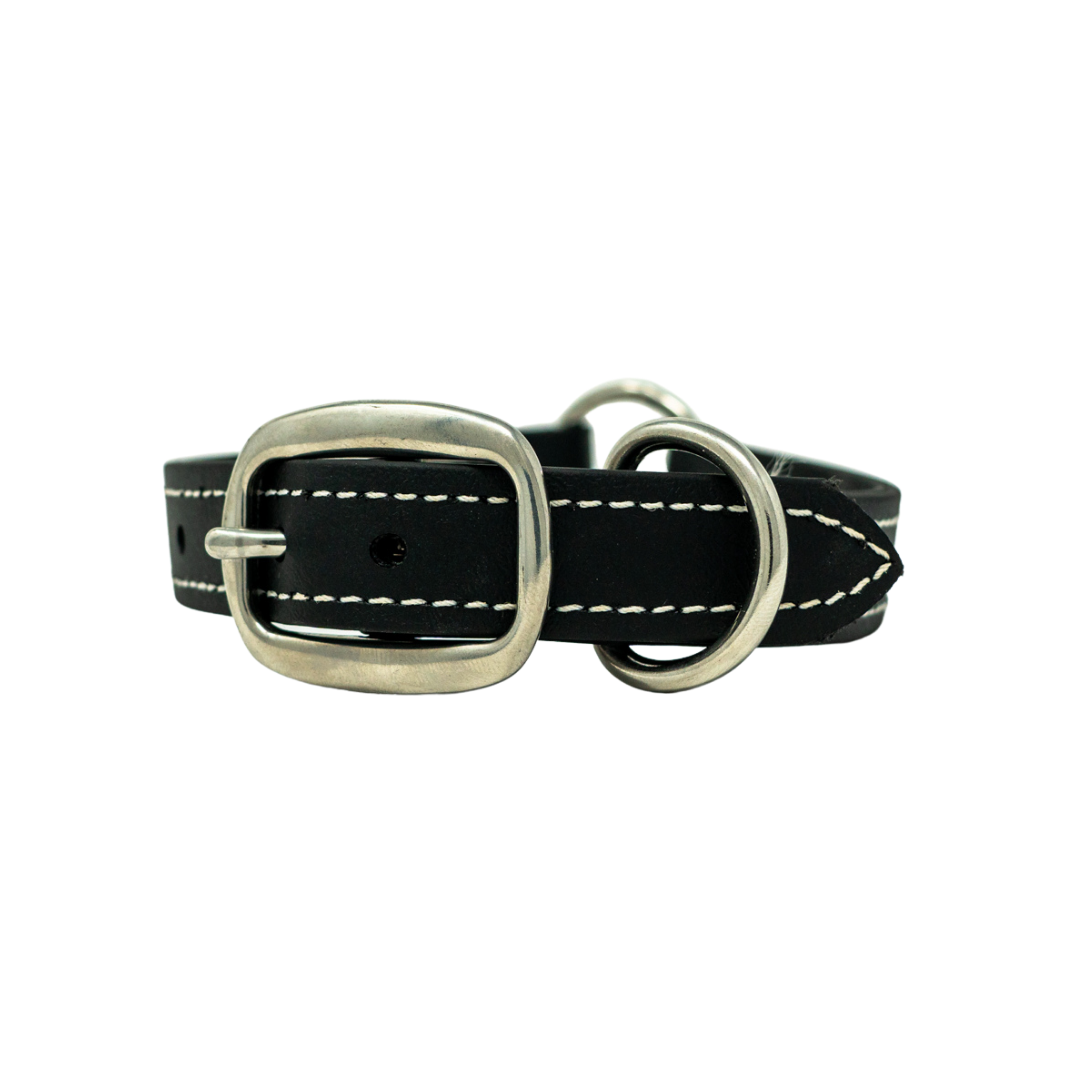 Adult Flat Collar - Biothane