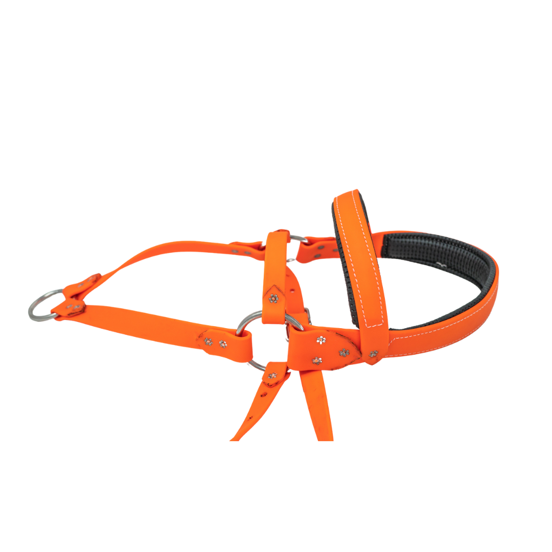 Roading Harness
