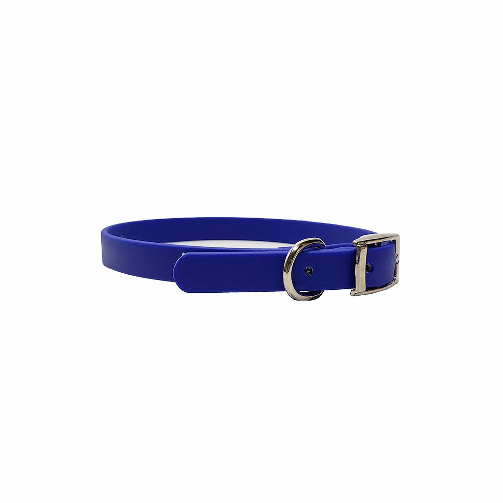 Puppy Flat Collar