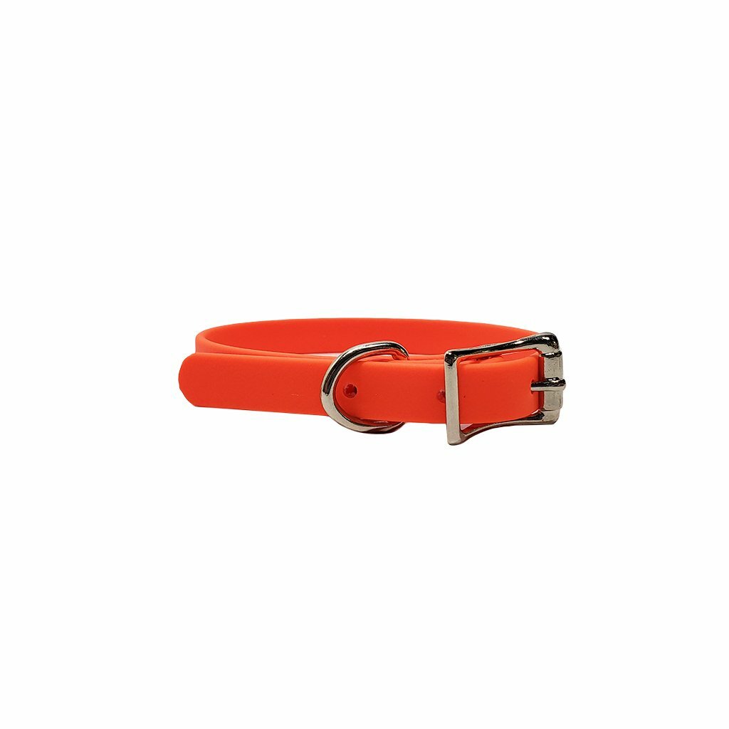 Puppy Flat Collar