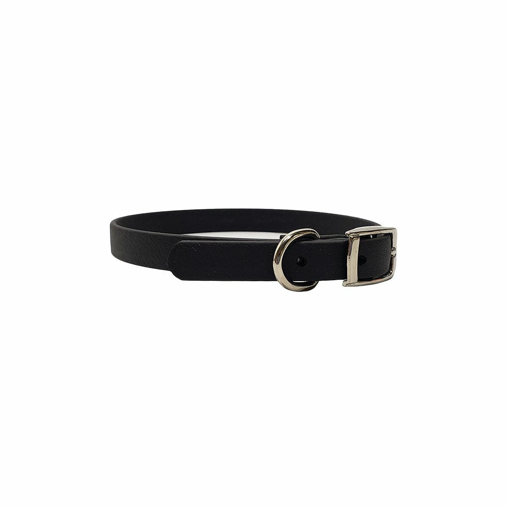 Puppy Flat Collar