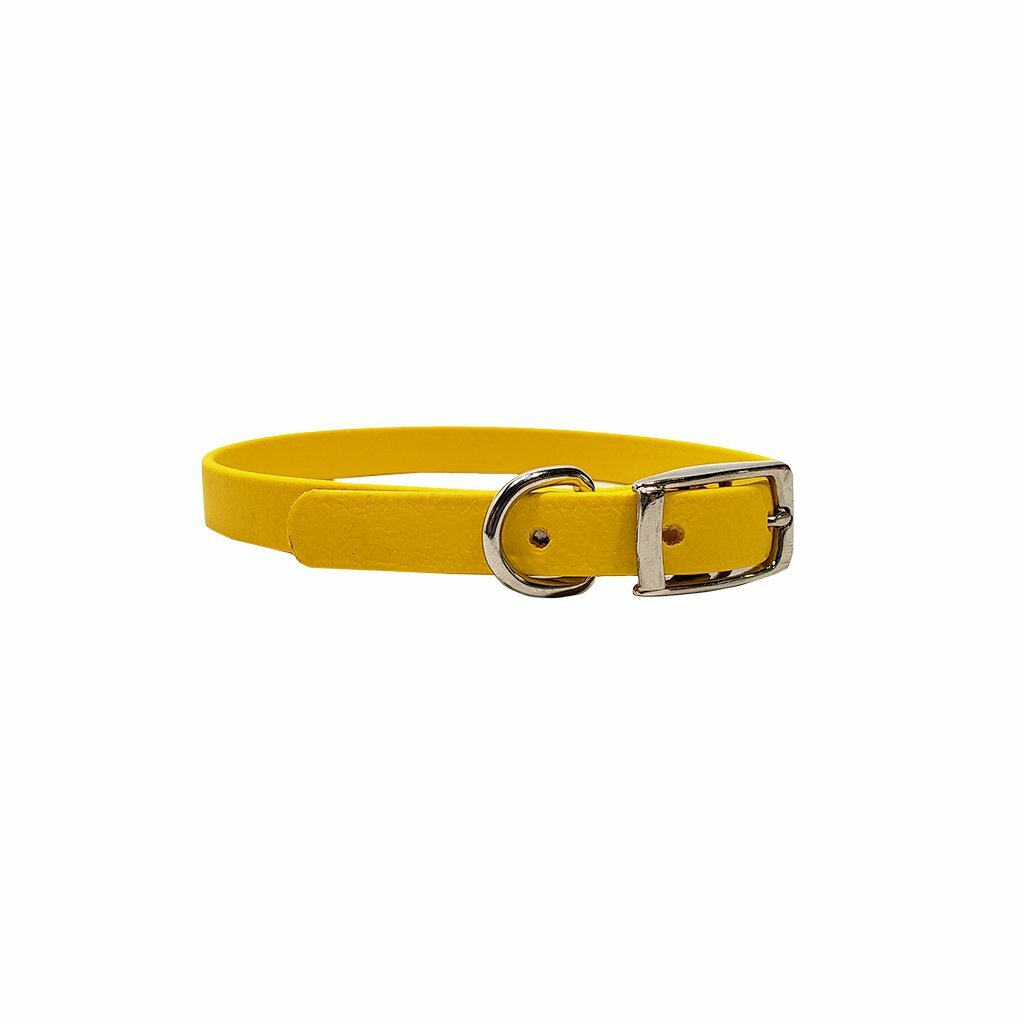 Puppy Flat Collar