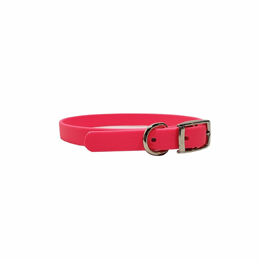 Puppy Flat Collar