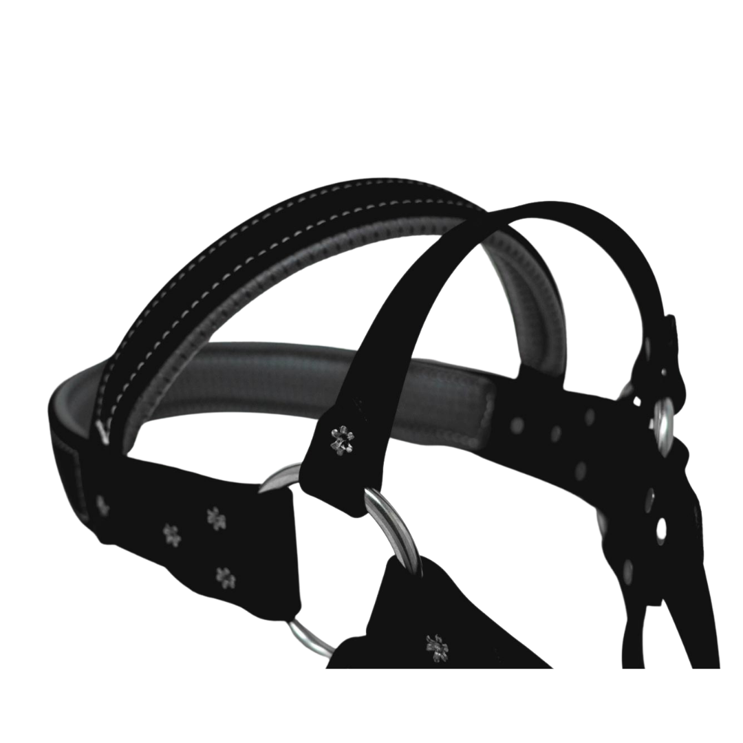 Roading Harness