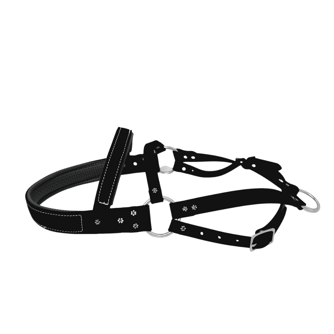 Roading Harness