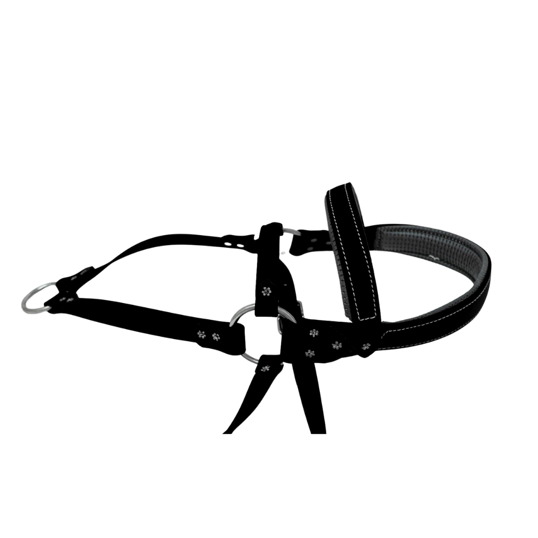 Roading Harness