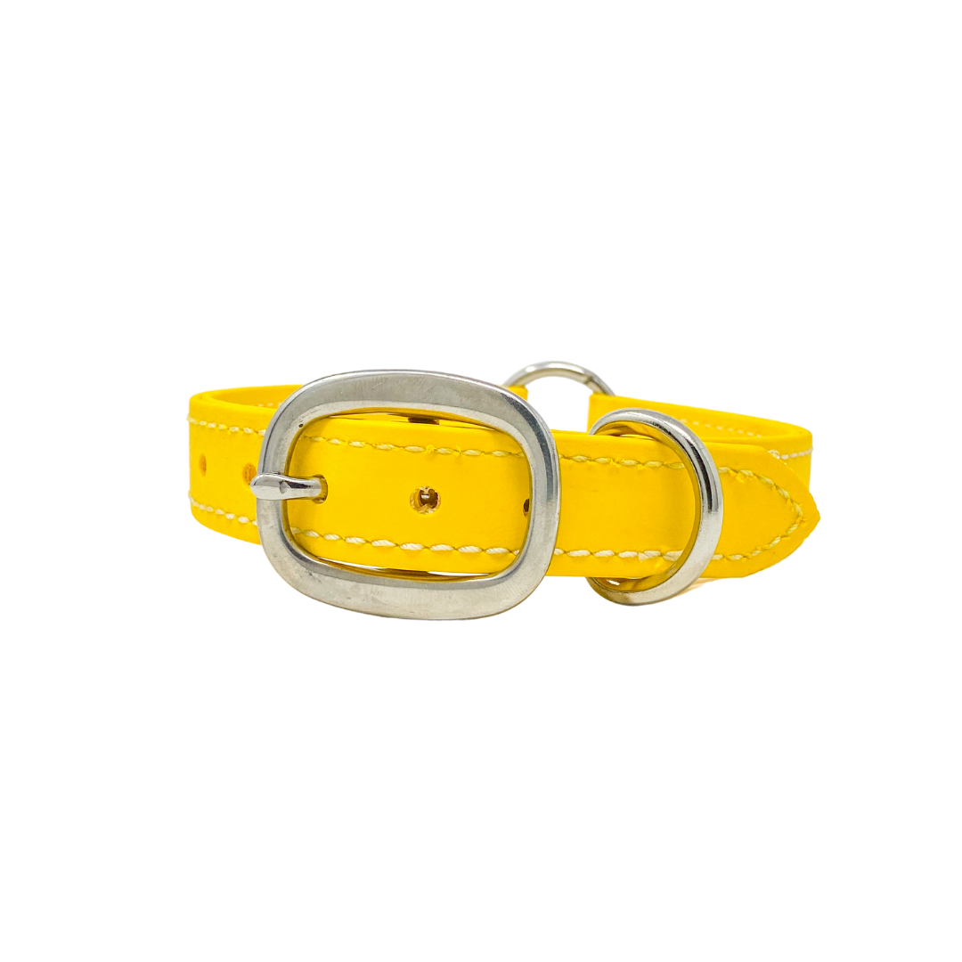 Adult Flat Collar - Biothane
