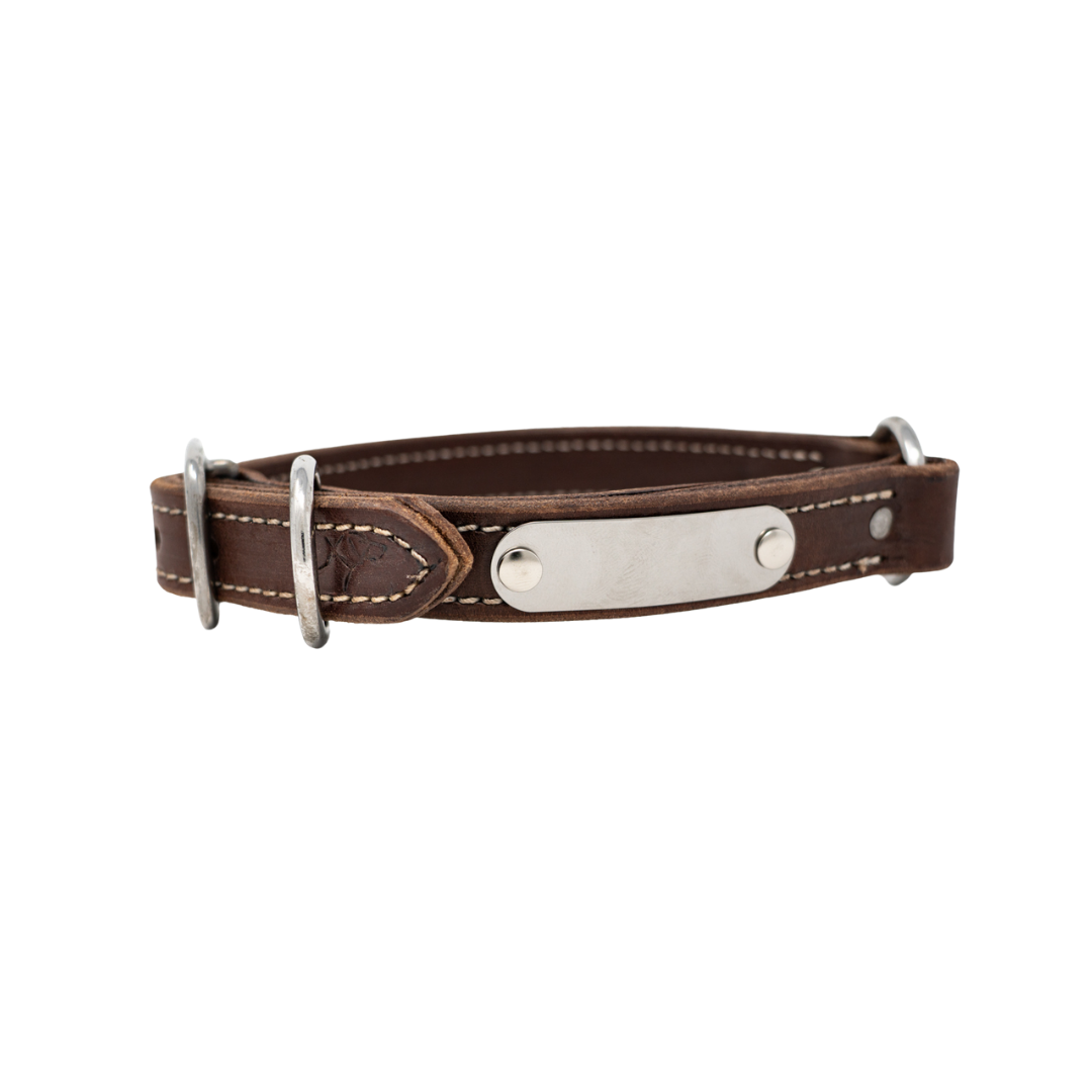 Replacement Name Plates for Biothane and Leather Collars