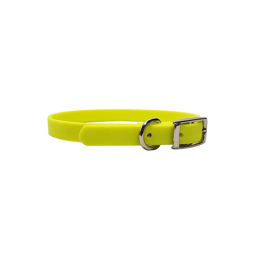 Puppy Flat Collar