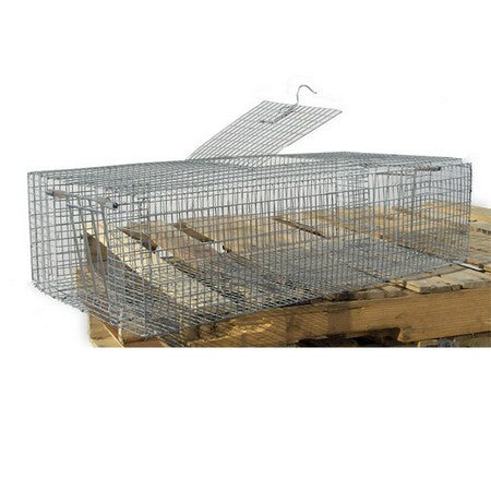 Double Door Pigeon Trap