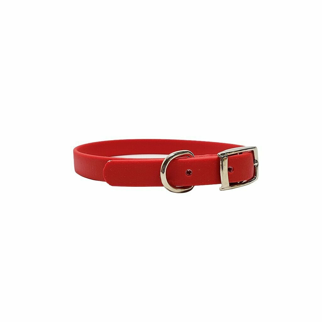 Puppy Flat Collar