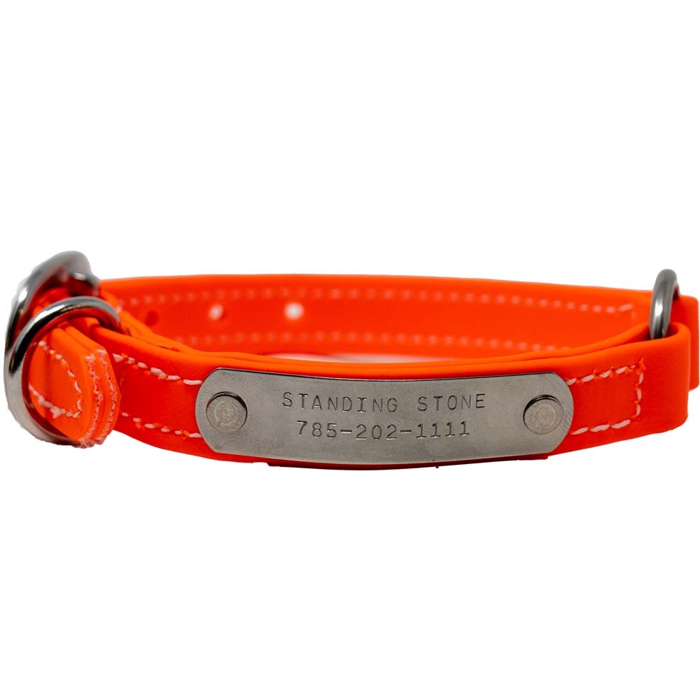 Juvenile Flat Collar - Biothane