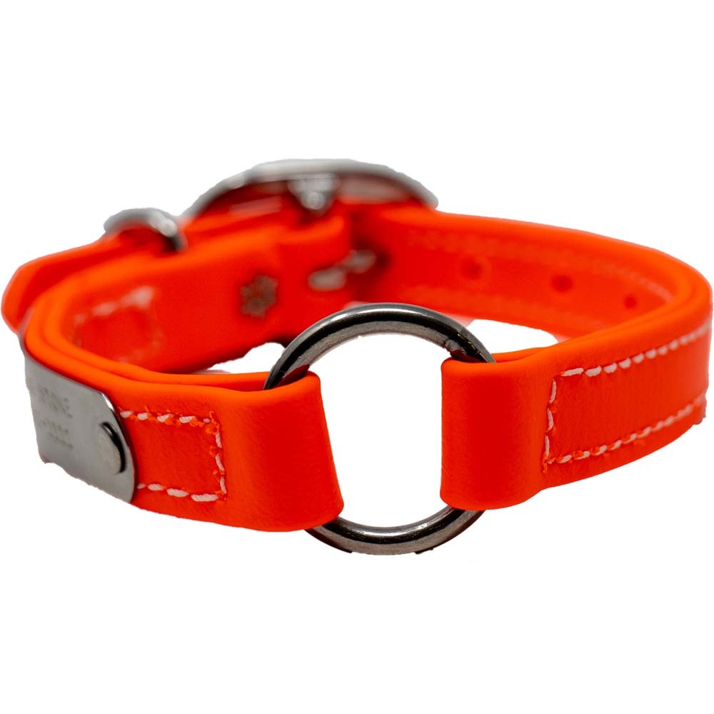 Juvenile Flat Collar - Biothane