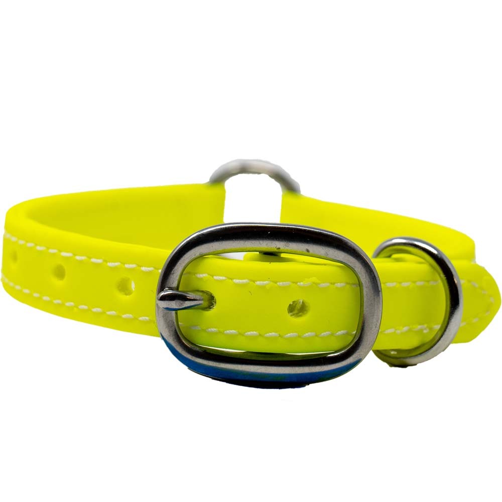 Juvenile Flat Collar - Biothane