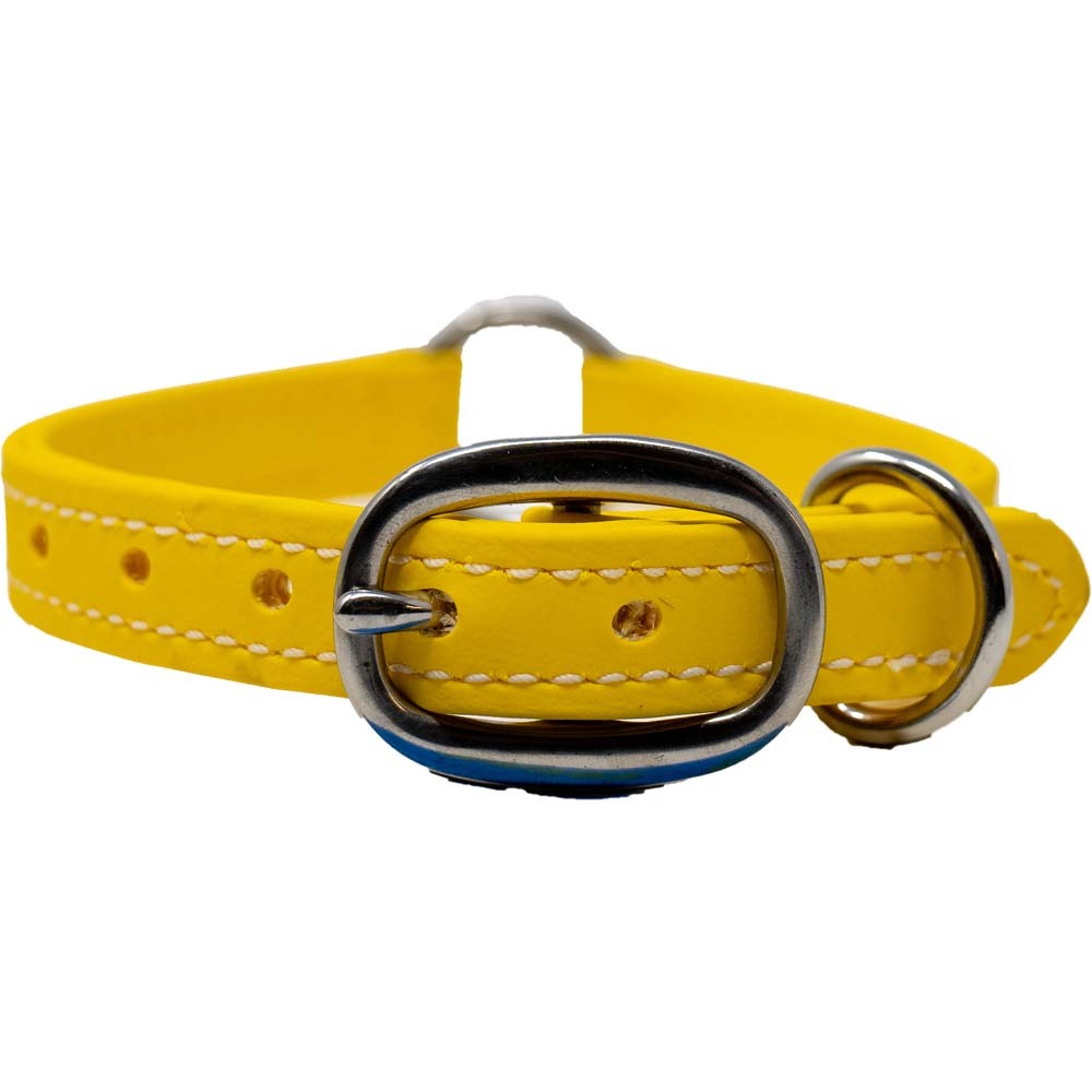 Juvenile Flat Collar - Biothane