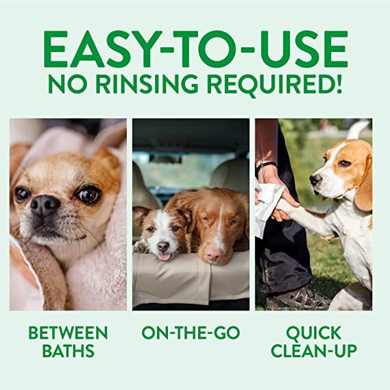 TropiClean Waterless Dog Facial Cleanser