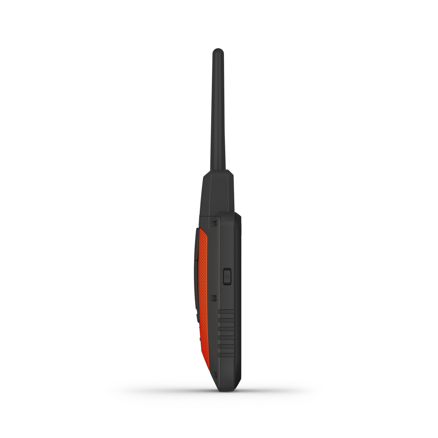 Garmin Alpha 300