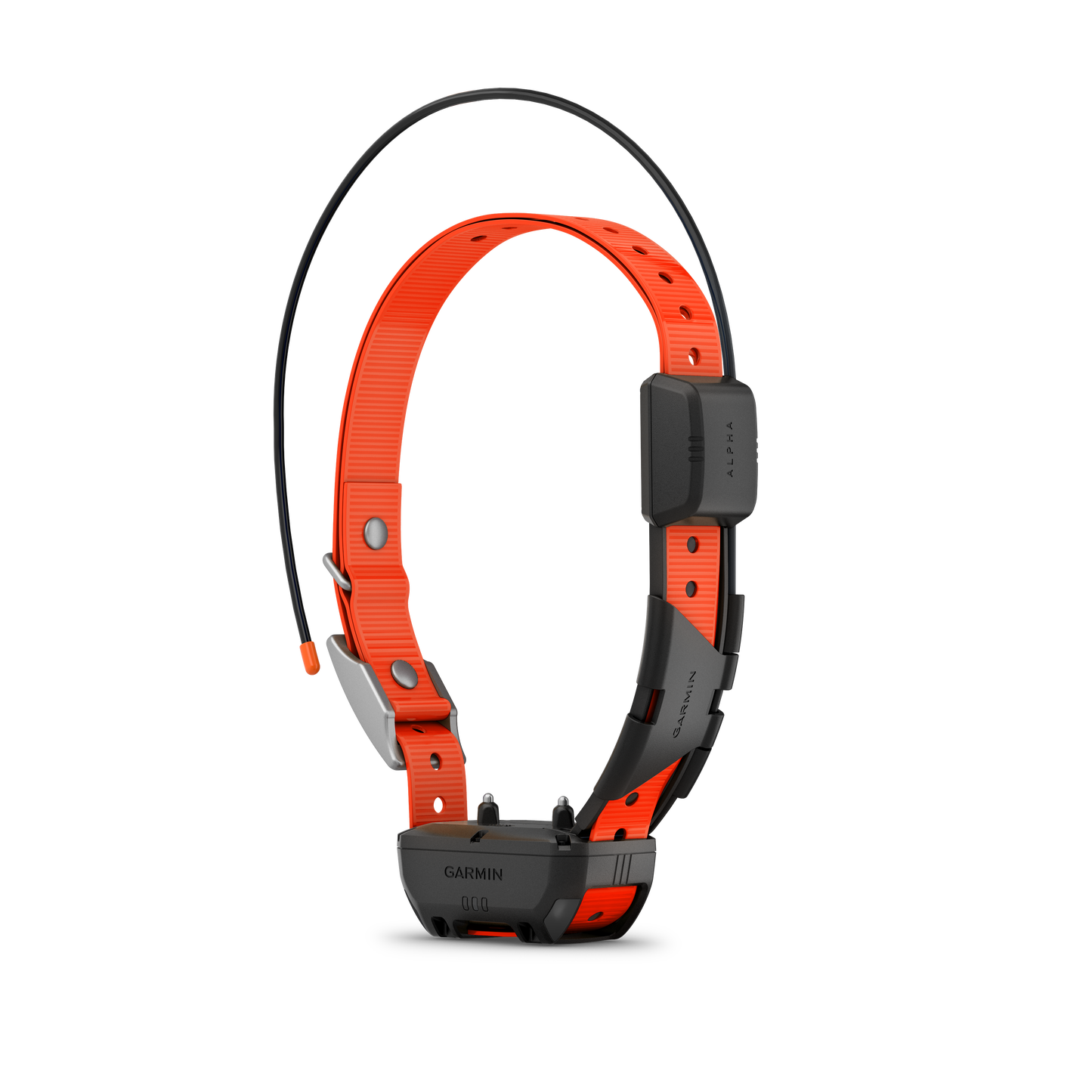 Garmin Alpha TT 25 Dog Collar