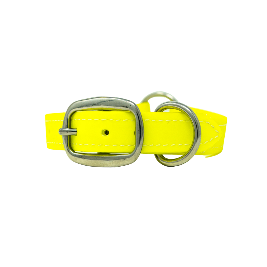 Adult Flat Collar - Biothane