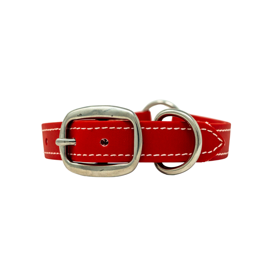 Adult Flat Collar - Biothane