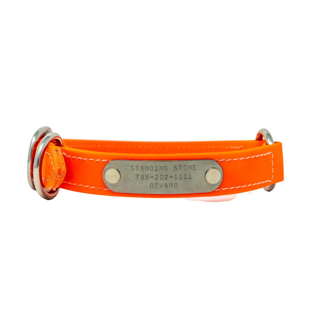 Adult Flat Collar - Biothane