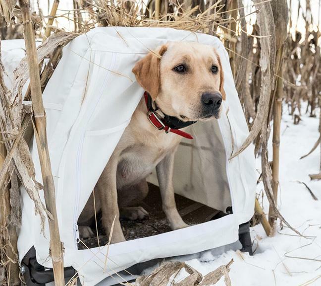 Invisi-lab/Field House Snow Cover