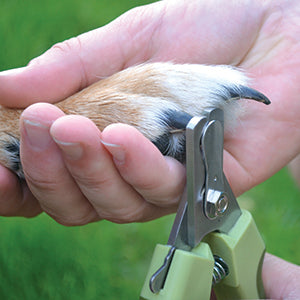 Safari Nail Trimmer