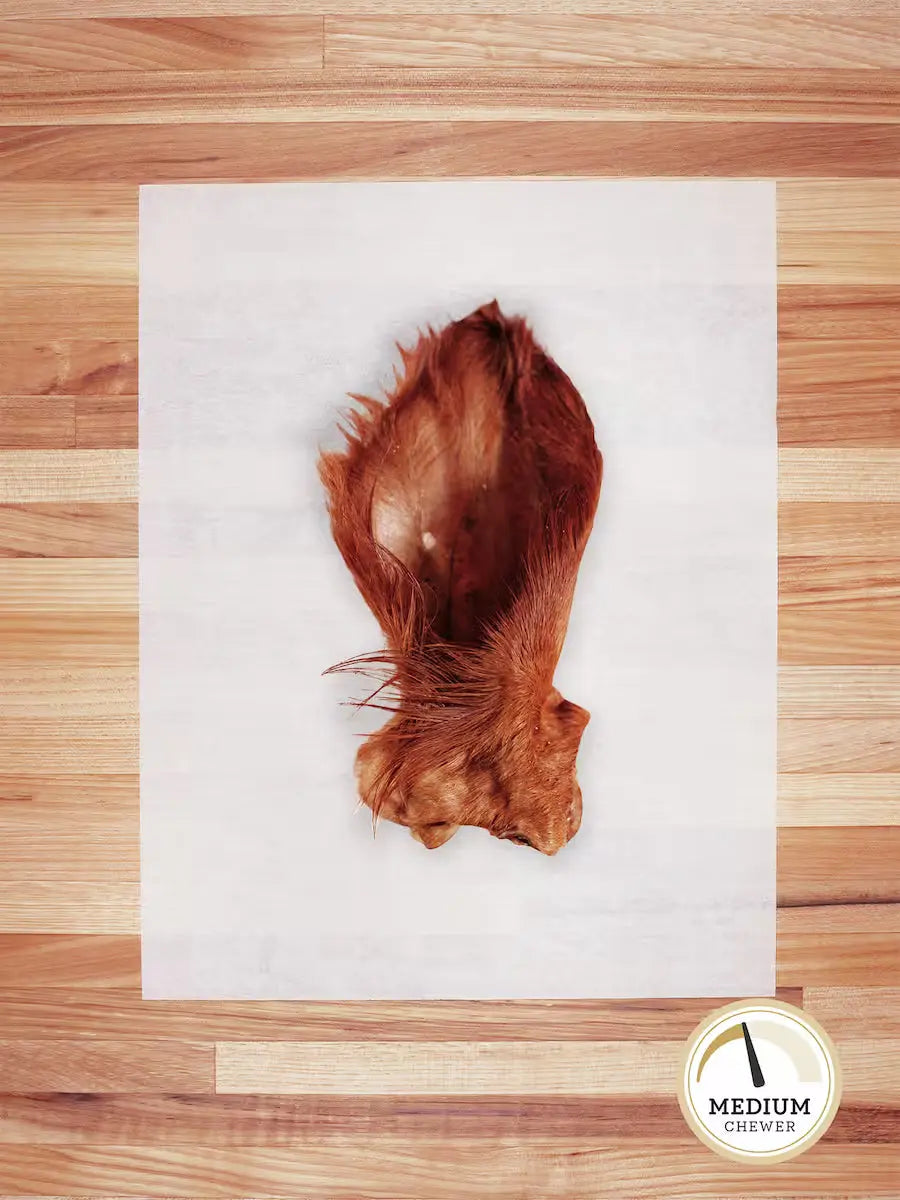 Beef Ear Chew