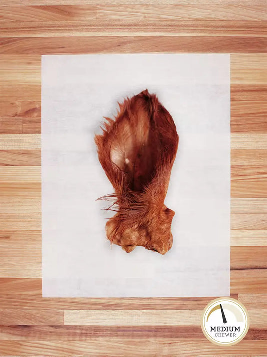 Beef Ear Chew
