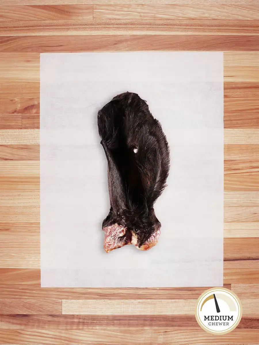 Beef Ear Chew